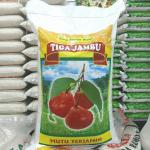 beras tiga jambu 20 kg