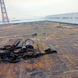 membran bakar dak beton